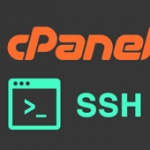 آموزش بک آپ گرفتن در cpanel از طریق ssh
