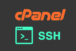 آموزش بک آپ گرفتن در cpanel از طریق ssh