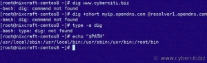 -bash: dig: command not found