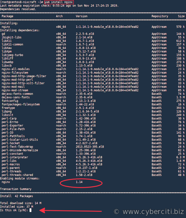 نصب Nginx روی CentOS 8