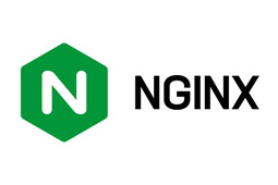 وب‌سرور Nginx: مهمترین ترفندهای امنیتی