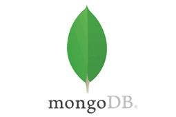 دریافت و نصب MongoDB در ویندوز