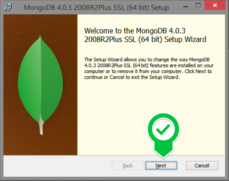 شروع نصب MongoDB در ویندوز