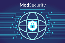 لیست سفید ModSecurity