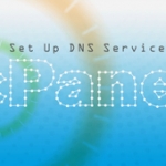 تنظیم سرویس DNS در سی‌پنل