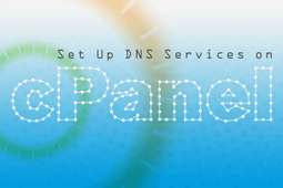 تنظیم سرویس DNS در سی‌پنل