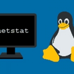 کاربرد فرمان netstat در لینوکس