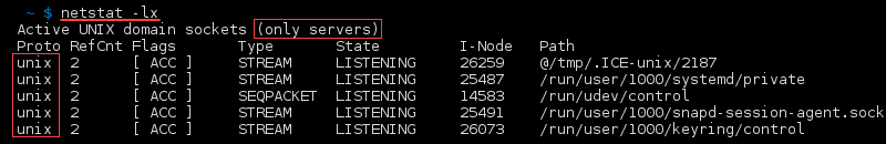 خروجی ترمینال فرمان netstat -lx