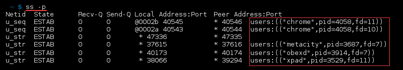 خروجی ترمینال فرمان ss -p