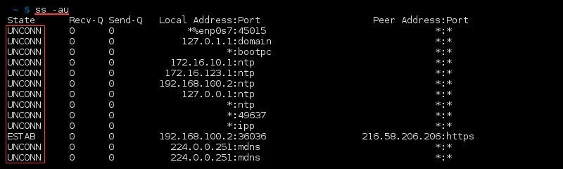 خروجی ترمینال فرمان ss -au لینوکس