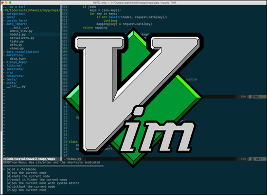 Vim