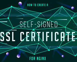 گواهی خود امضایی SSL برای Nginx در اوبونتو 20.04